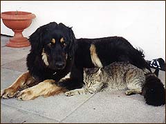 Bianka (2 roky) a Damian